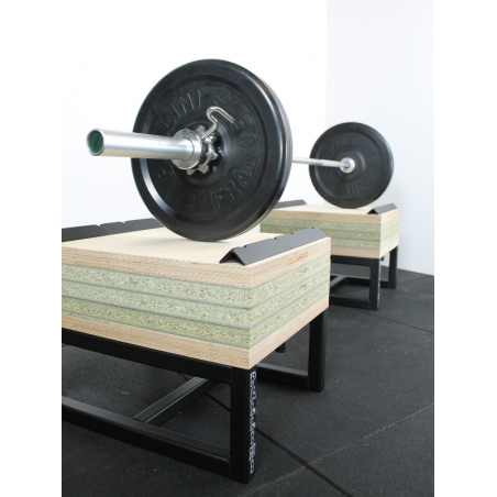 Plots Haltérophilie PALLINI disponible chez CRESS Sport