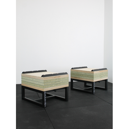 Plots Haltérophilie PALLINI disponible chez CRESS Sport