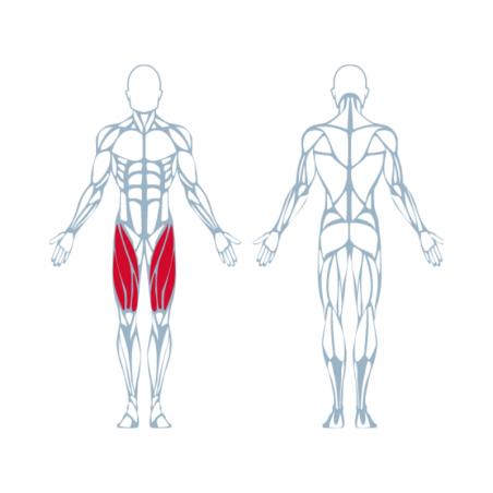 Machine de Musculation Quadriceps à Résistance Pneumatique