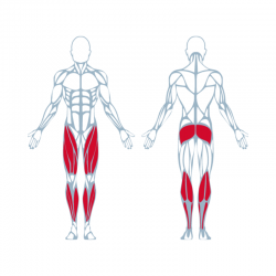 Machine de Musculation Quadriceps à Résistance Pneumatique