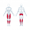 Machine de Musculation Quadriceps à Résistance Pneumatique