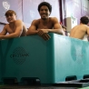 CRYOTANK - Bain Froid & Chaud - Large (6 Athlètes Max.) - Thermorégulateur Inclus