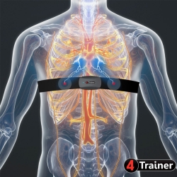CARDIO TEAM HRV - Ceinture Thoracique - 4Trainer