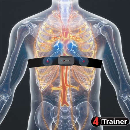 CARDIO TEAM HRV - Ceinture Thoracique - 4Trainer