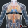 CARDIO TEAM HRV - Ceinture Thoracique - 4Trainer