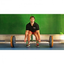 Mini bandes élastiques Powerband Medium - Vert