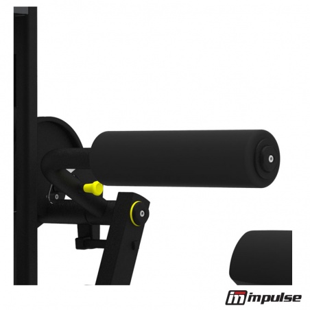ABDOMINAUX - Machine à Charge Guidée - Professionnel - IMPULSE FITNESS
