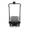AIR RUNNER PRO - Tapis de Course non Motorisé - ASSAULT FITNESS