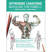 Anatomie fonctionnelle Anatomie fonctionnelle