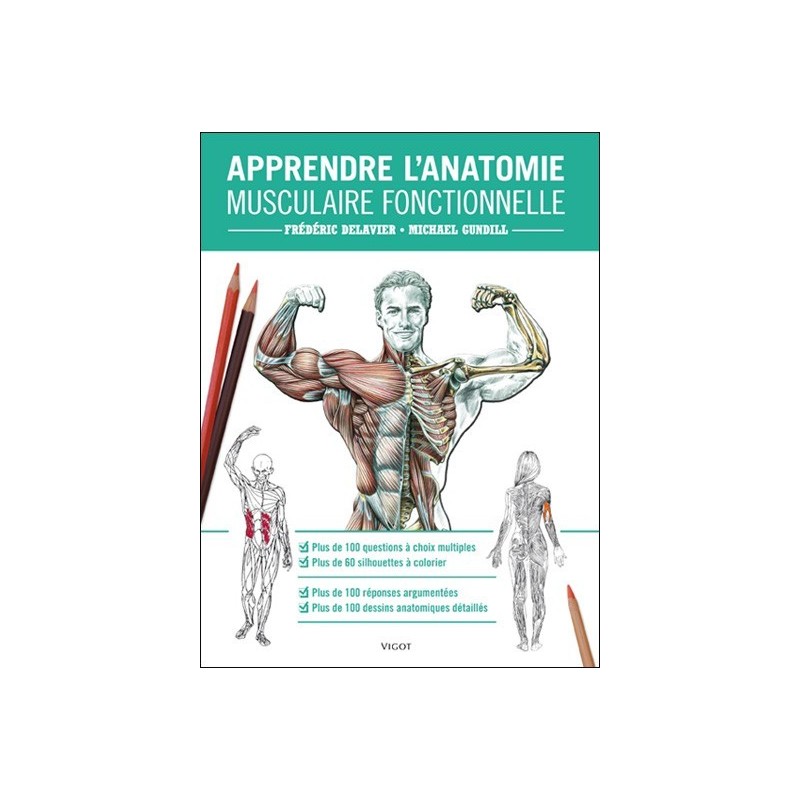 Anatomie fonctionnelle Anatomie fonctionnelle
