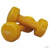 Haltères Fitness