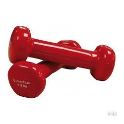 Haltères Fitness
