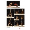 La préparation  physique BASKET - Frank KUHN, Guillaume VETA et Bernard GROSGEORGE - 4Trainer Editions