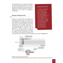 Hypertrophie Approche pratique et scientifique du développement musculaire Brad Schoenfeld 4Trainer Editions