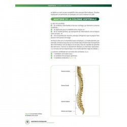 ANATOMIE DU FOOT - Analyse du mouvement et entraînement