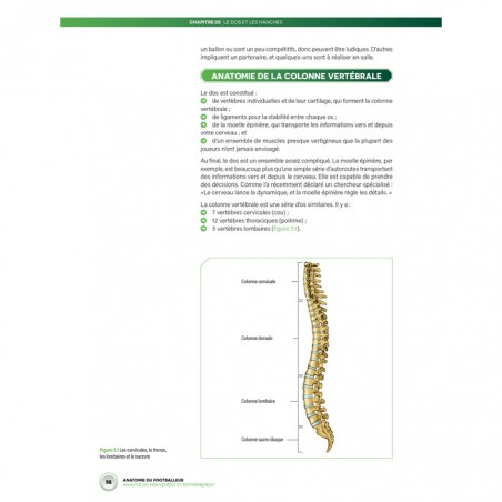 ANATOMIE DU FOOT - Analyse du mouvement et entraînement