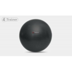 Ballon suisse 4Trainer