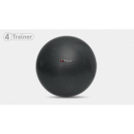 Ballon suisse 4Trainer