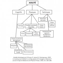 L'agilité dans les sports collectifs