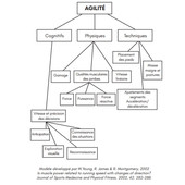 L'agilité dans les sports collectifs L'agilité dans les sports collectifs