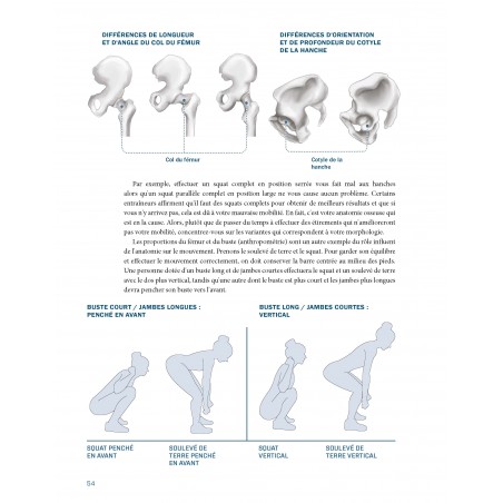 FESSIERS  Le guide ultime pour dessiner vos muscles et développer votre force - 4TRAINER Editions