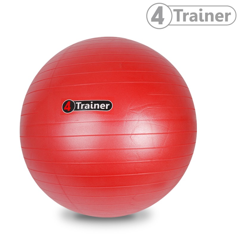 Ballon suisse 4Trainer