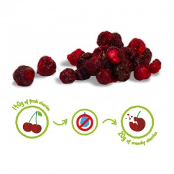 CERISE CRUNCHY FRUIT BIO - 100% cerises biologiques lyophilisées