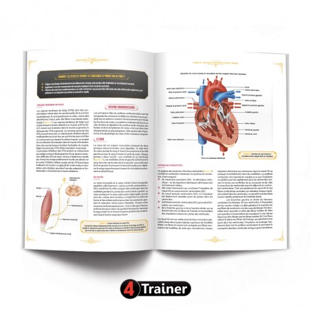 L'Encyclopédie de la préparation physique - 4TRAINER Editions