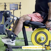 Acceleration Leg Curl / Extension NeuroExcellence Acceleration Leg Curl / Extension NeuroExcellence