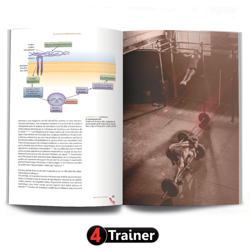 HYPERTROPHIE - 2nde Édition - 4TRAINER EDITIONS